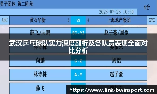 武汉乒乓球队实力深度剖析及各队员表现全面对比分析